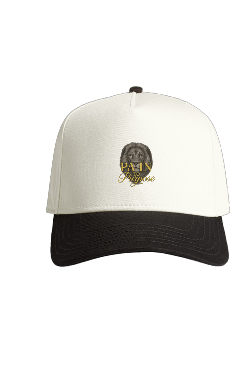 Frame Two-Tone Cap