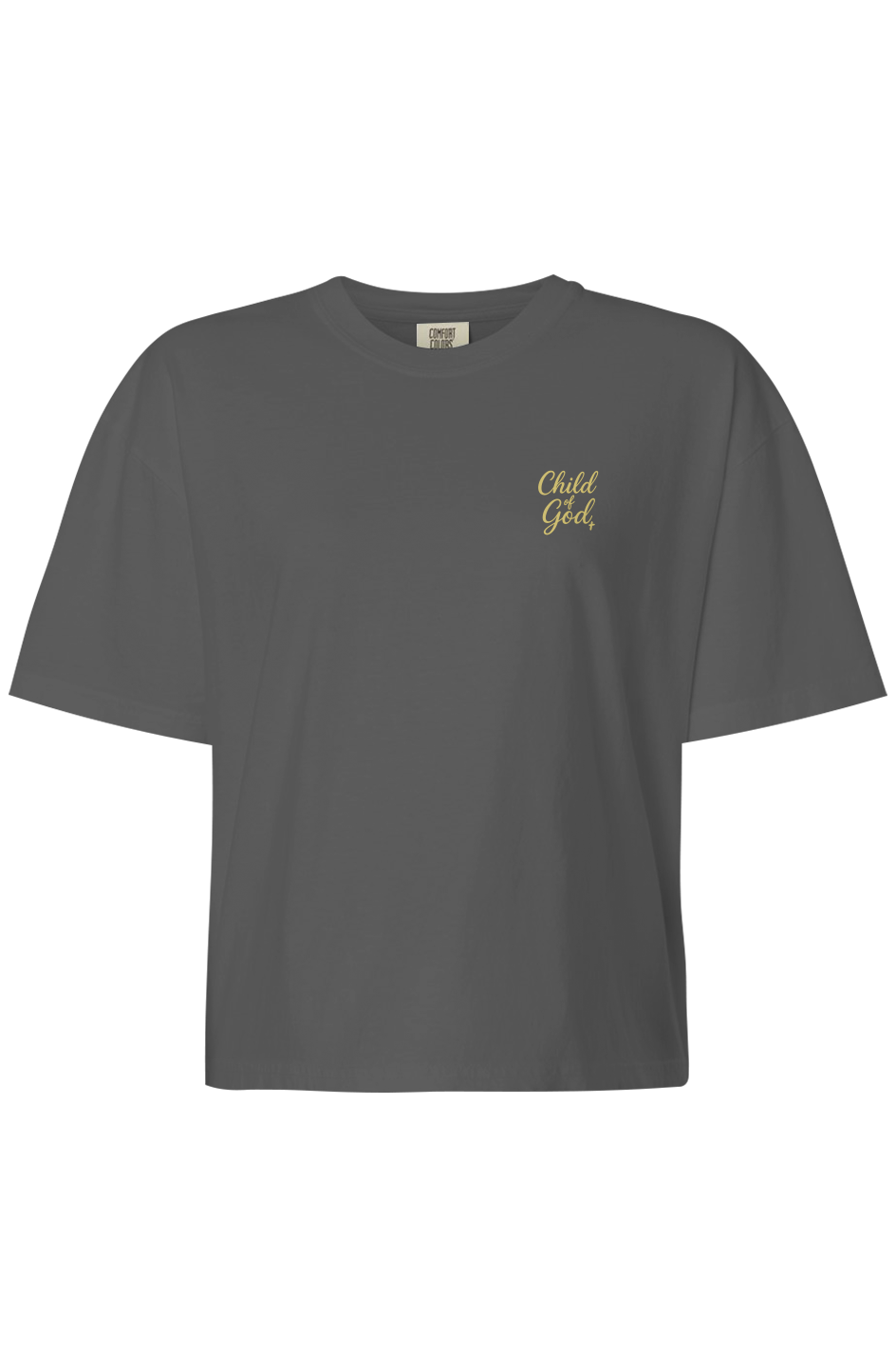 Pain To Purpose Child of God Embroidered Boxy T-Shirt