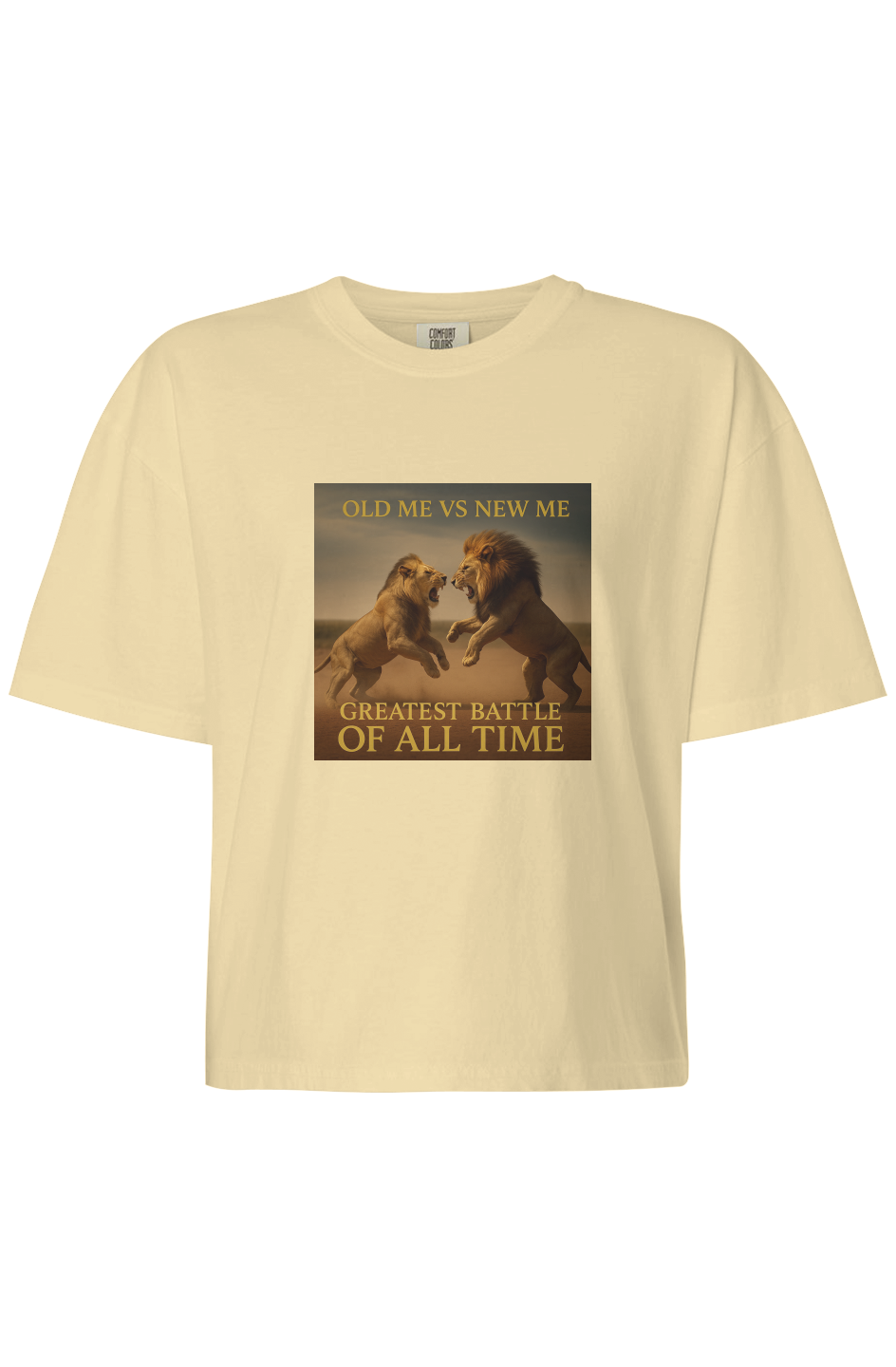 Pain To Purpose Old Me vs New Me Women's Boxy T-Shirt
